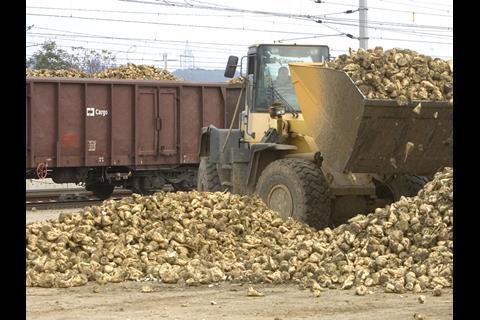 Rail Cargo Group hauled almost 2·5 million tonnes of sugar beets to Agrana’s factories during this year’s campaign (Photo: Agrana).